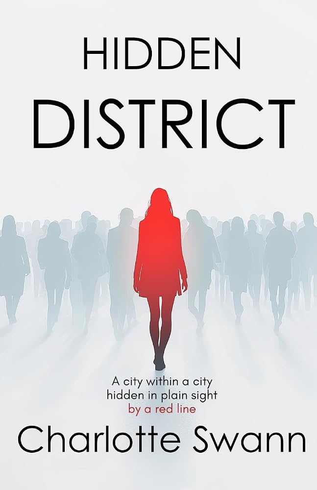Hidden District cover image