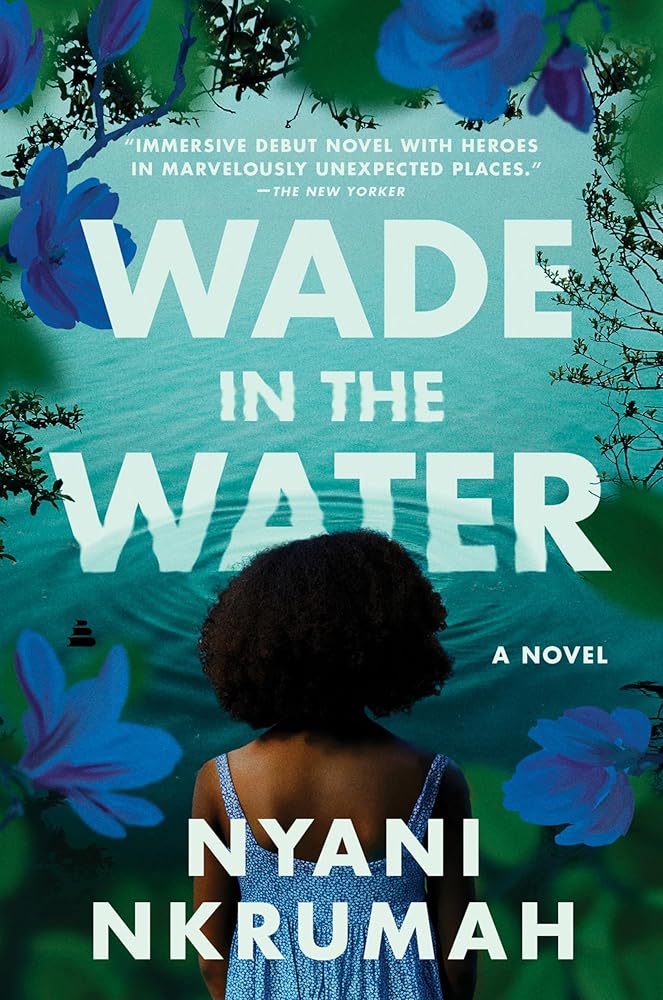 Wade in the Water: A Novel cover image