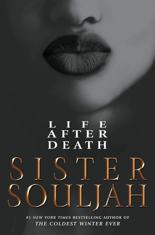 Life After Death: A Novel (2) (The Winter Santiaga Series) cover image